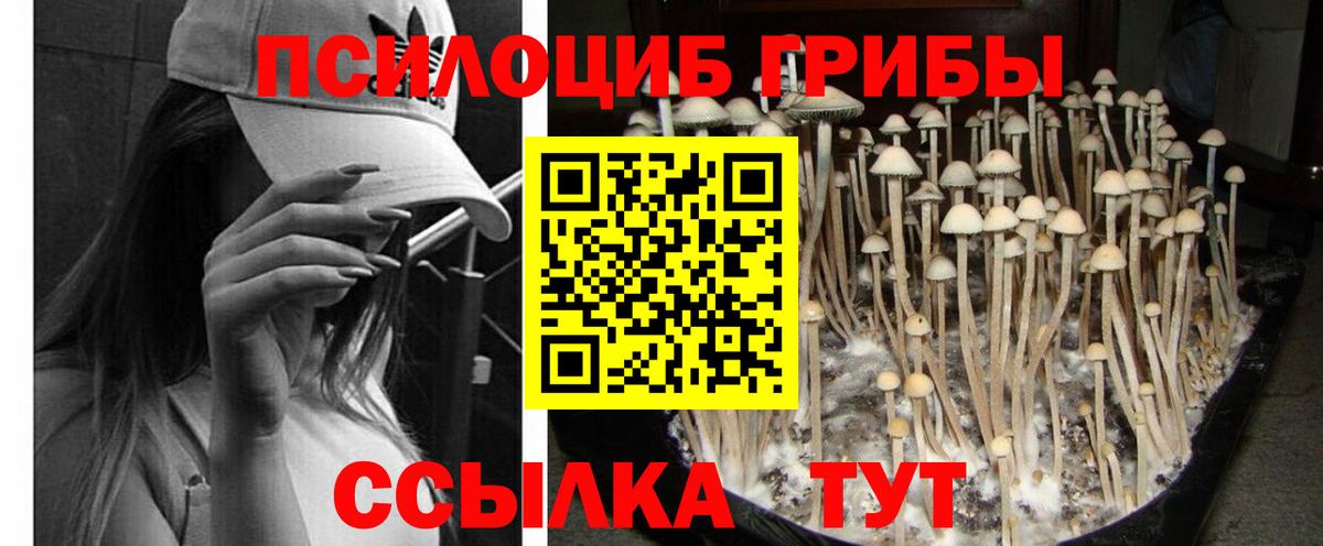 Галлюциногенные грибы MAGIC MUSHROOMS Пятигорск