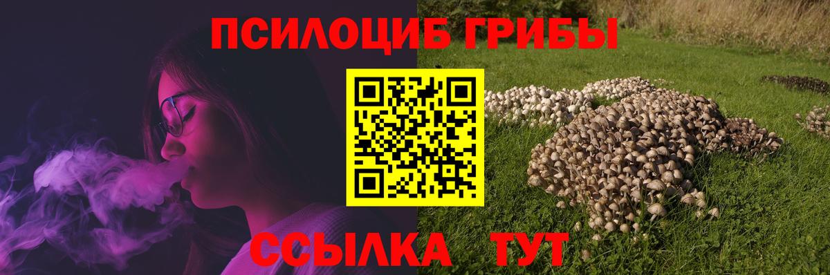 Пятигорск  Галлюциногенные грибы прущие грибы  Вход с VPN 